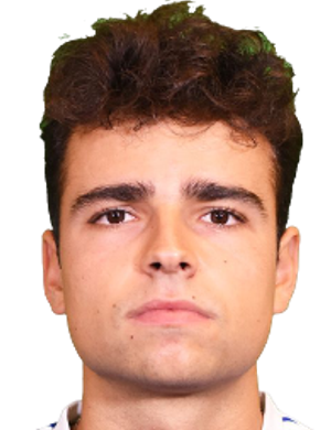 Pelayo Avanzini
