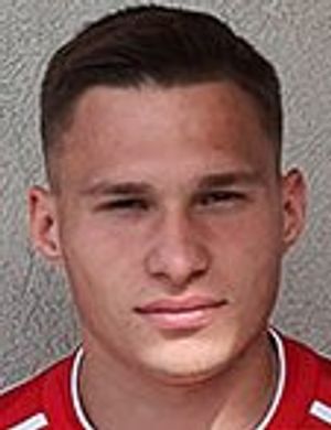 Nikola Stegnjaja