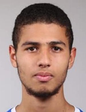 Abdel Rafii Mesrar