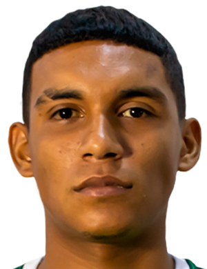 Luis Colchado