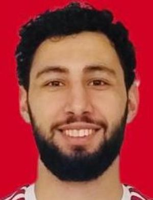 Fatih Berk Sahin