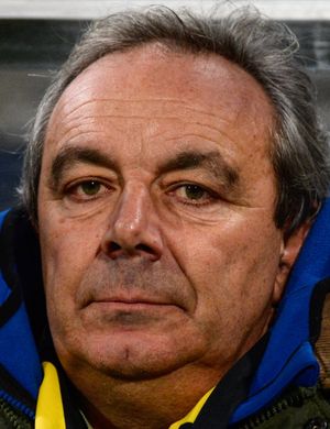 Fulvio Luzi