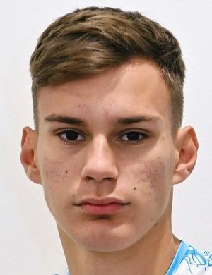 Andro Babic