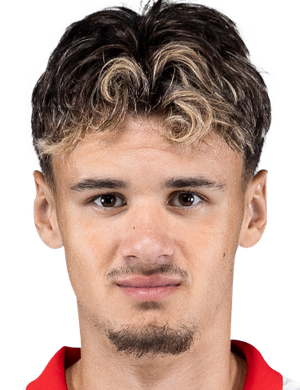 Kerim Alajbegovic