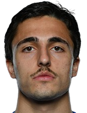 Nikoloz Tskhovrebashvili