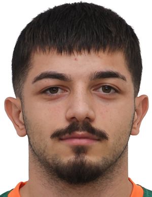Şahin Dik