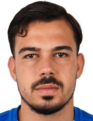 Halit Birçerpanlı