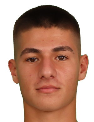 Efe Sarıkaya