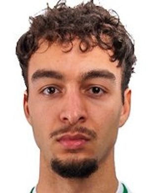 Theo Afework