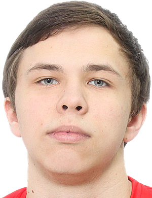 Vladimir Rylin