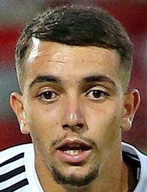 Mehdi Puch
