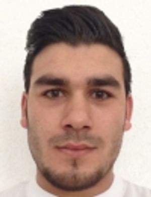 Fatih Ibis