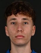 Luca Handl