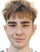 Andrey Gusikhin Andrey Gusikhin