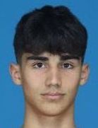 Vatan Karanfil