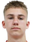Arseniy Ziberov