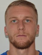H. Hajdarevic