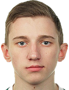 Artem Bibik