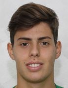Leão Leão