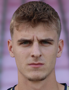 Haris Mesic