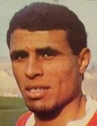 Shedid Kenawi