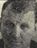 Vasiliy Sarygin