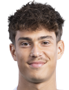 Hugo Lambotte