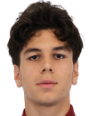 Emir Mezereli
