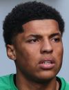 Todd Bazunu