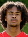 Joshua Zirkzee -