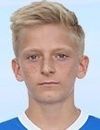 Nico Zapel