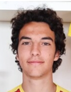 Luca Bardini