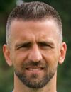 Vedad Ibisevic