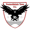 Pontarddulais Town