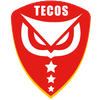 Tecos FC II