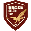 Borgosesia Calcio