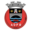 AD Ponte da Barca