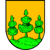 SG Saalfelden (- 2007)