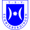 TSV Schwieberdingen