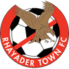 Rhayader Town