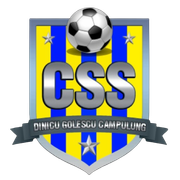 CN Dinicu Golescu Campulung