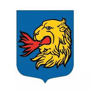 Partyzant Wodzisław