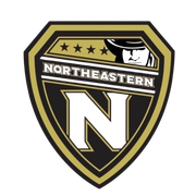 Northeastern College