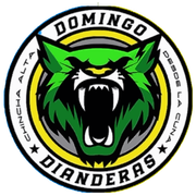 Domingo Dianderas
