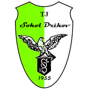 TJ Sokol Drzkov