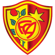 FC Zürich-Affoltern