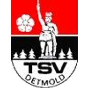 TSV Detmold (- 2015)