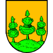 SG Saalfelden (- 2007)