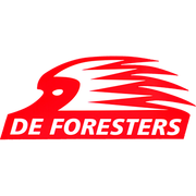 SV De Foresters Heiloo