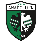 Corum Anadolu FK